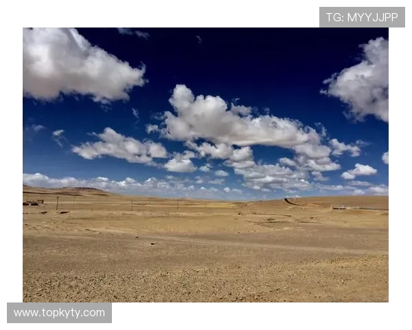 深入了解开云ky官方人口规模及其变化趋势对玩家体验的影响分析